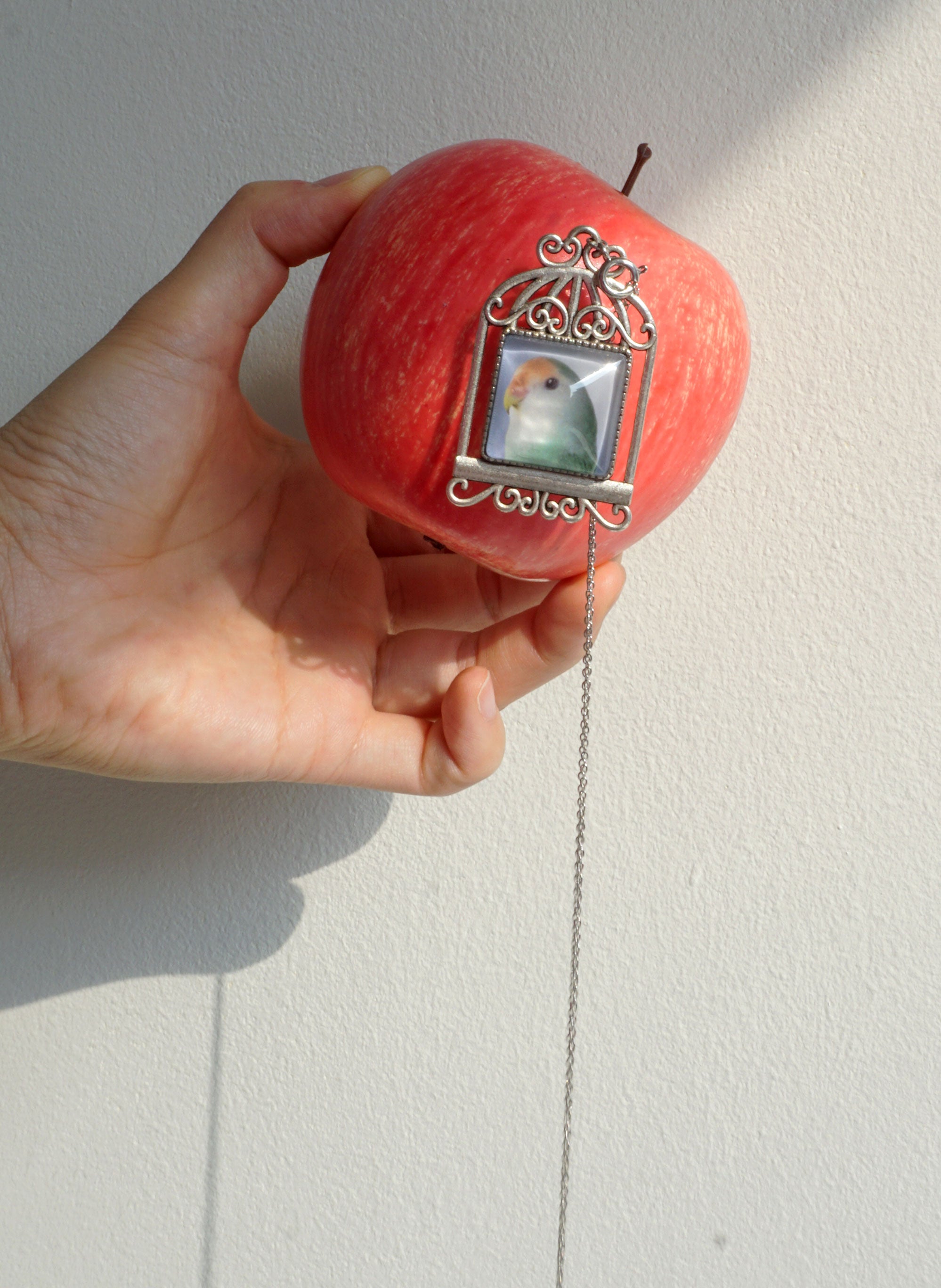 BIRDCAGE BROOCH+NECKLACE (5 COLORS)